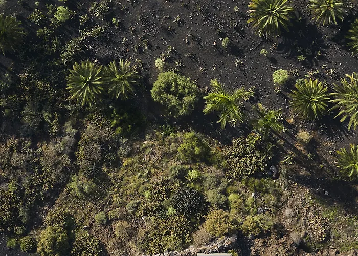 Royal Hideaway Corales (adults Only) 5* アデヘ